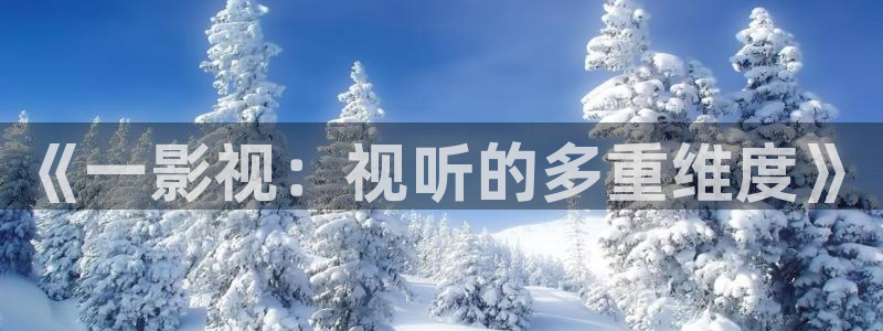 影院桔子：《一影视：视听的多重维度》
