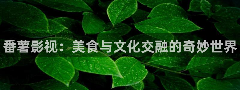 桔子影院下载：番薯影视：美食与文化交融的奇妙世界